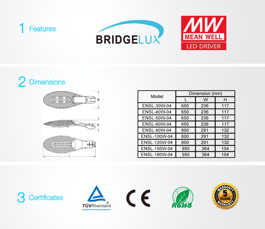 TUV COB Inscrite LED Street Lights