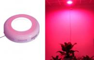 Quelle est la fonction de LED Grow Lights